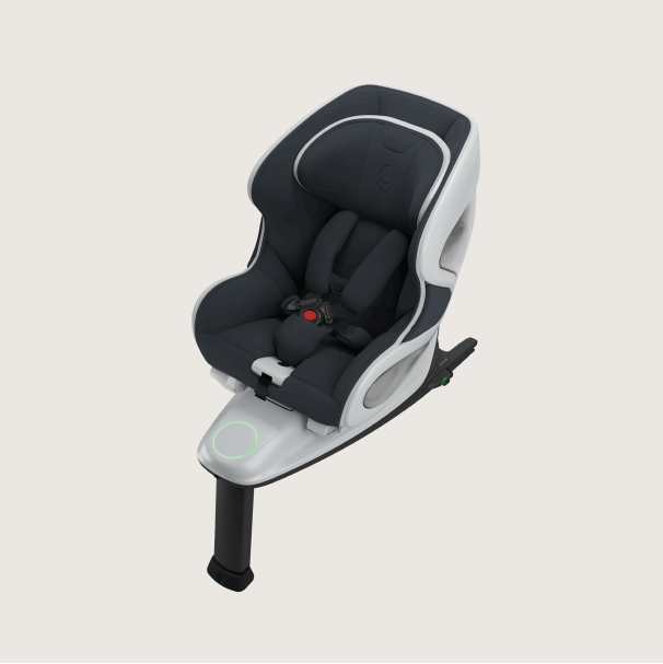 Babyark Convertible Car Seat
