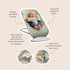 Baby Bjorn Bouncer Begin