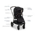 Nuna TRIV LX + PIPA Urbn Travel System