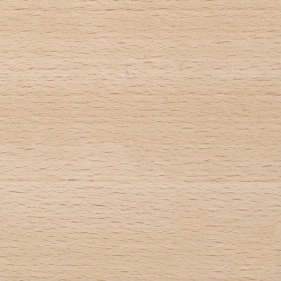 Romina Antonio Convertible Crib / Solid Back