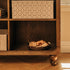 Nate Berkus x Babyletto Astre Bookcase