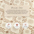 Nate Berkus x Babyletto Astre Ottoman