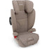 Nuna AACE Booster Seat