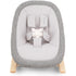 Nuna BRYN Newborn Rocker