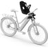 Thule Yepp Nexxt 2 Mini