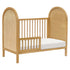 Babyletto Bondi Cane 3-in-1 Convertible Crib with Toddler Bed Conversion Kit