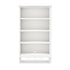 Namesake Liberty Bookcase