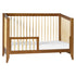 Babyletto Sprout 4-in-1 Convertible Crib with Toddler Bed Conversion Kit